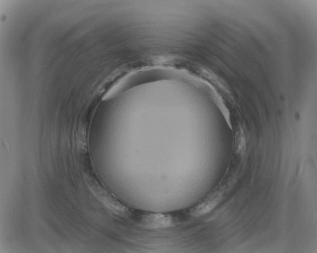 X0000084020421200703022102