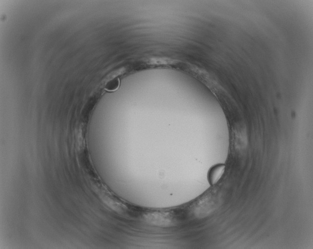 X0000084020422200703022102