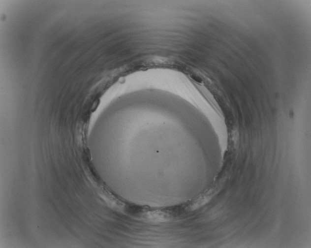 X0000084020423200703022102