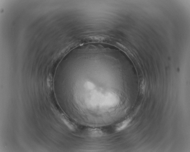 X0000084020424200703022102