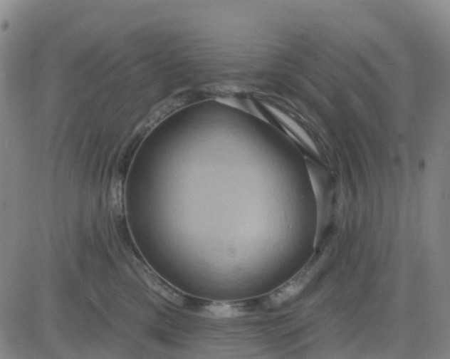 X0000084020425200703022102