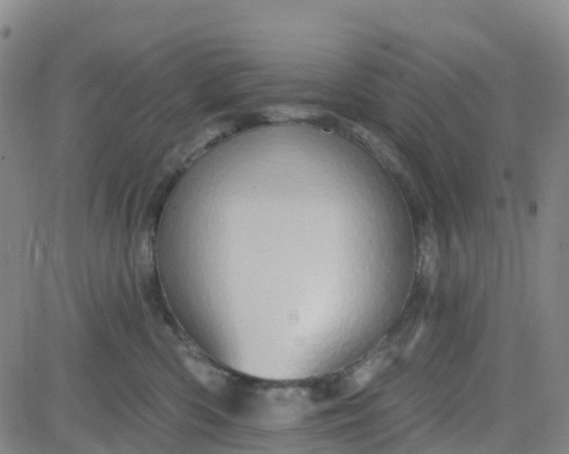 X0000084020426200703022102