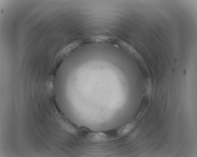 X0000084020427200703022102