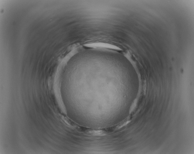 X0000084020428200703022102