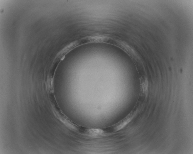 X0000084020429200703022102