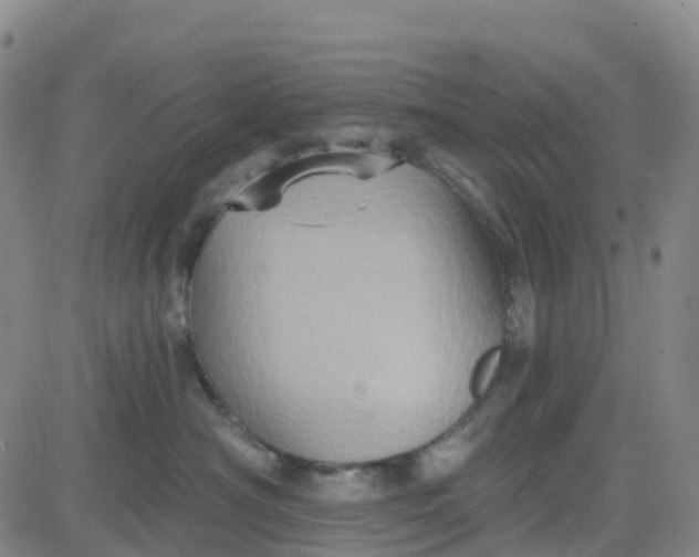 X0000084020430200703022102