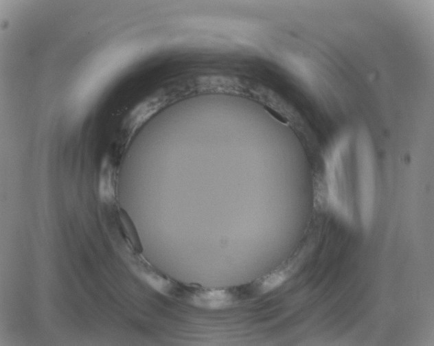 X0000084020431200703022102