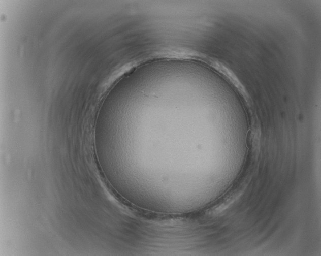 X0000084020433200703022101