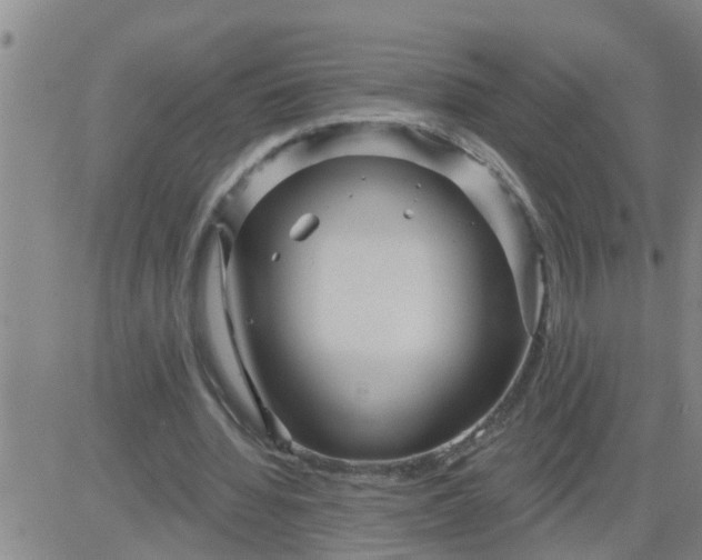 X0000084020436200703022101