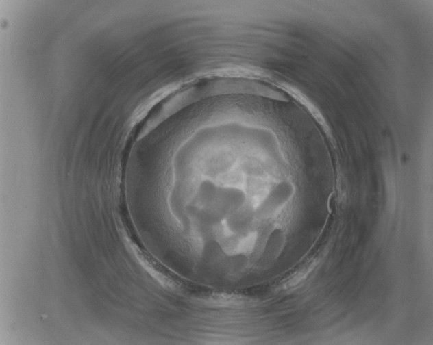 X0000084020437200703022101