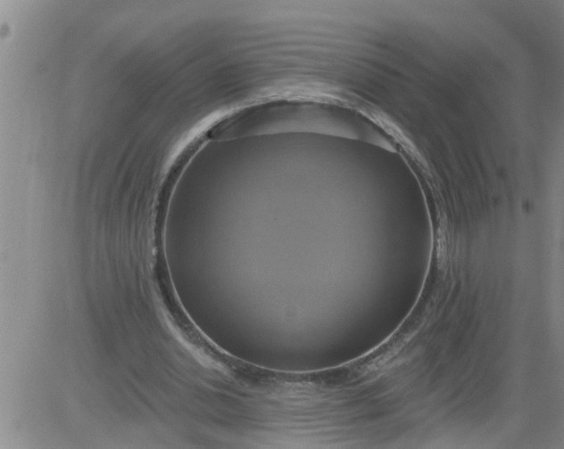 X0000084020438200703022101