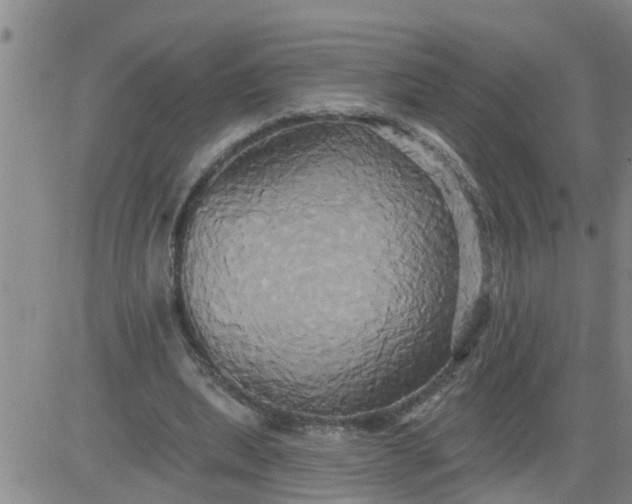 X0000084020439200703022101