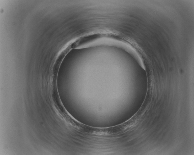 X0000084020440200703022101