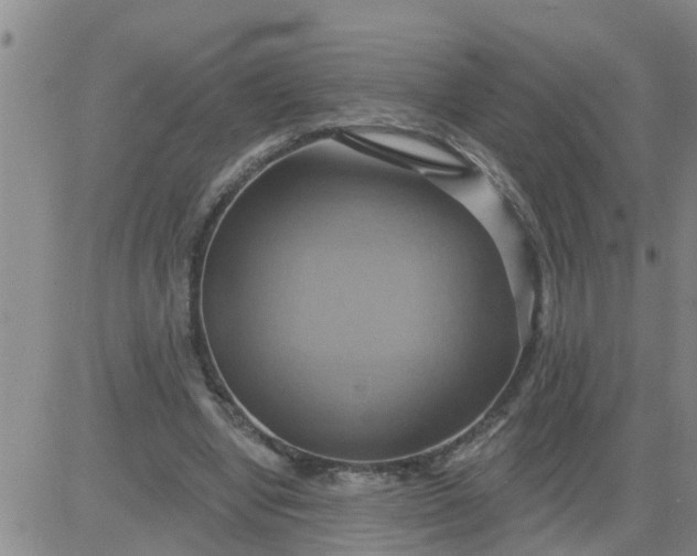 X0000084020442200703022101