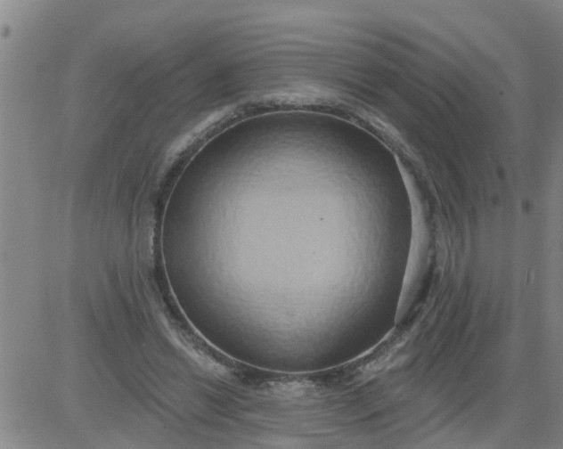 X0000084020446200703022101