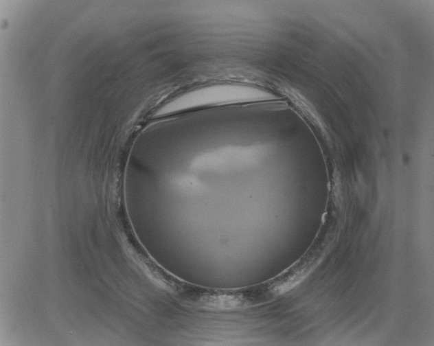 X0000084020449200703022101