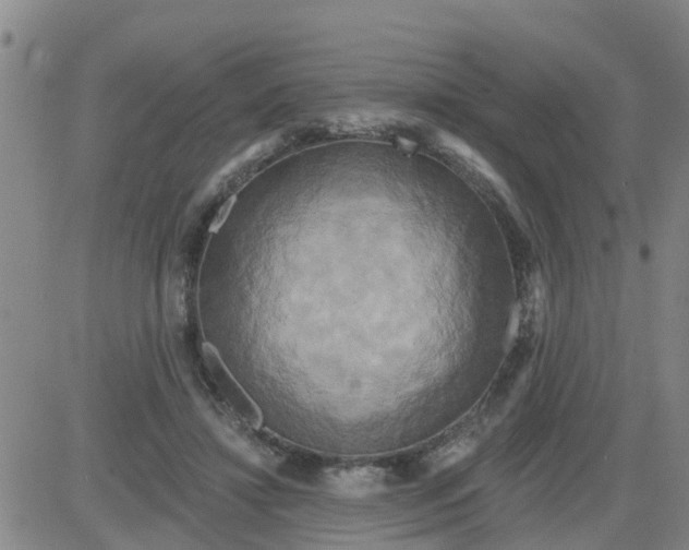 X0000084020452200703022101