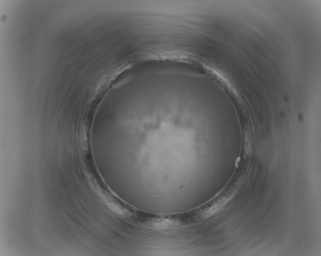 X0000084020453200703022101