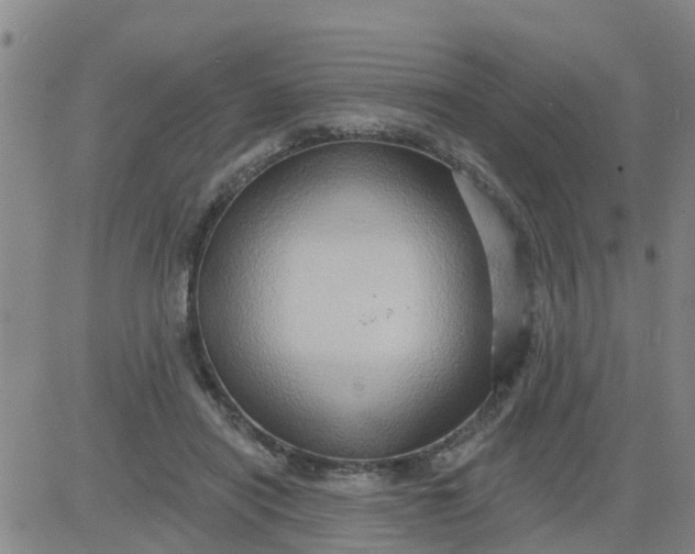 X0000084020454200703022101