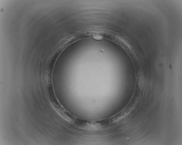 X0000084020455200703022101