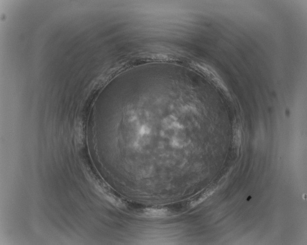 X0000084020457200703022101