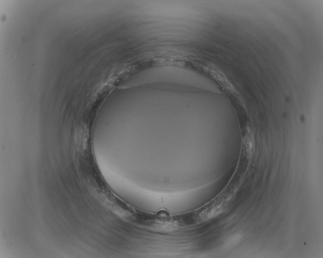 X0000084020458200703022101