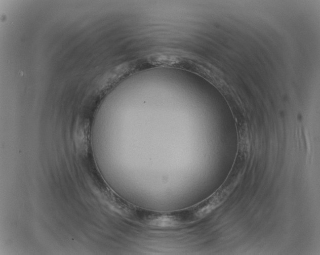 X0000084020460200703022101