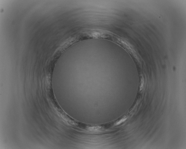 X0000084020461200703022101