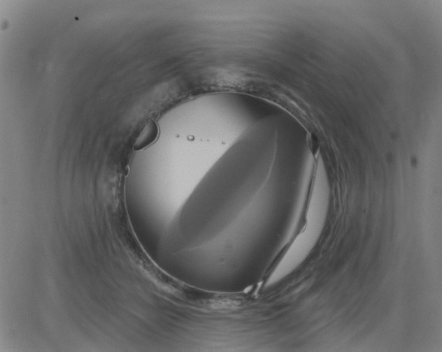 X0000084020462200703022101