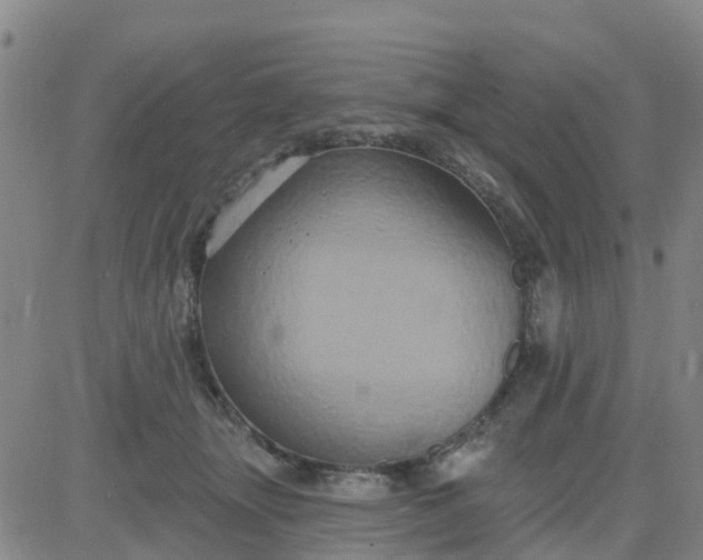 X0000084020463200703022101