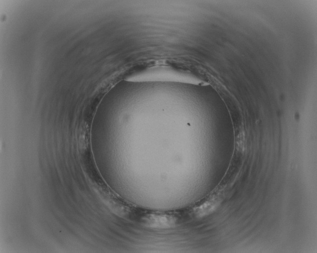 X0000084020464200703022101