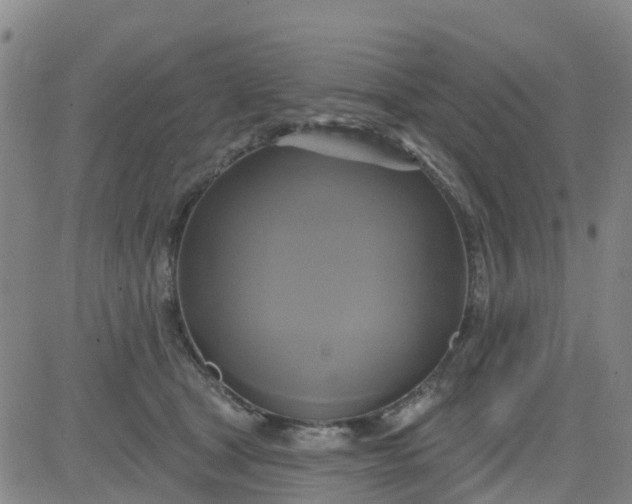 X0000084020465200703022101