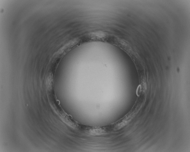 X0000084020468200703022101