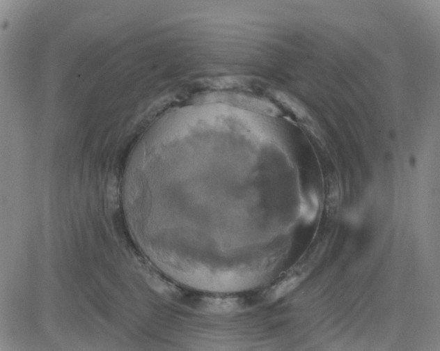 X0000084020469200703022101