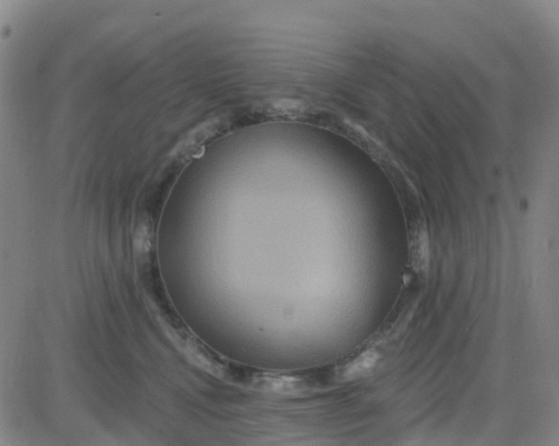 X0000084020472200703022101