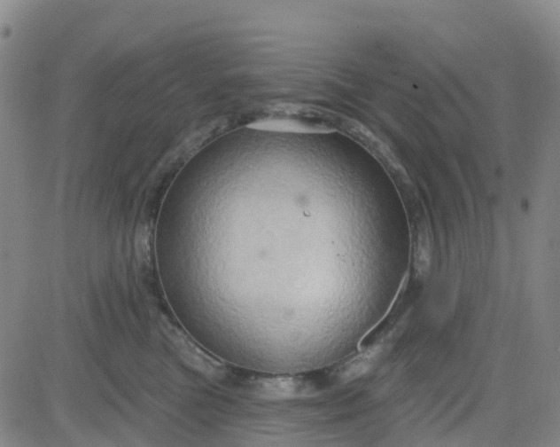 X0000084020473200703022101