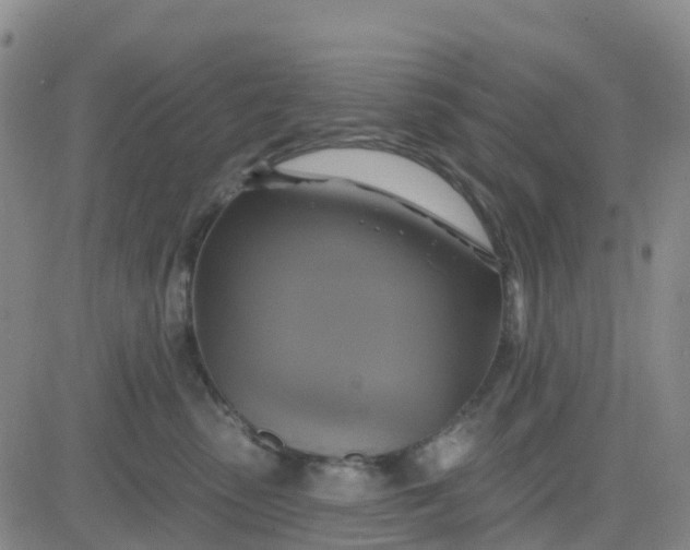 X0000084020475200703022101