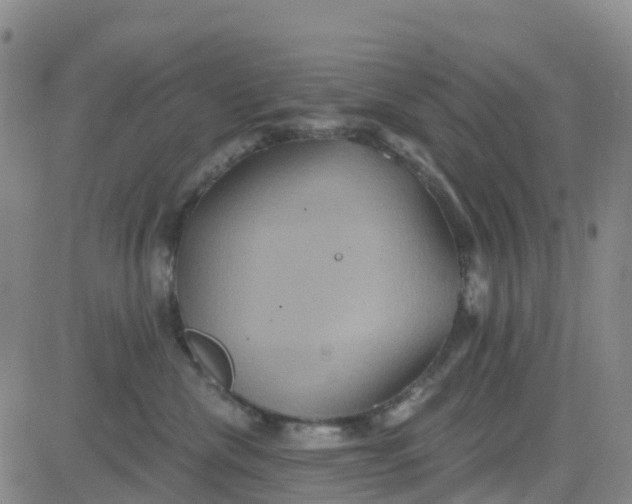 X0000084020476200703022101