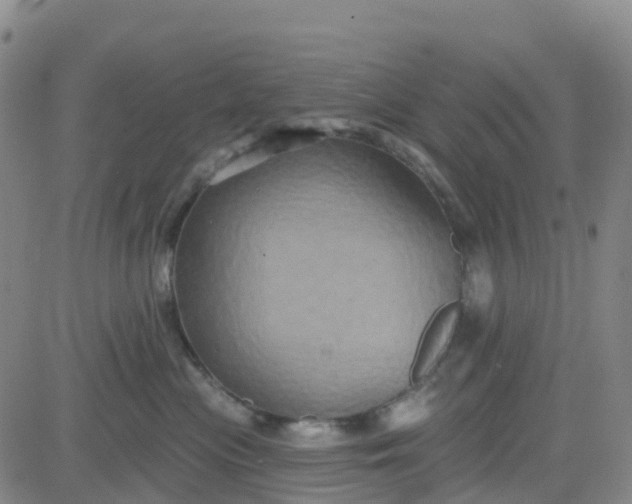 X0000084020477200703022101