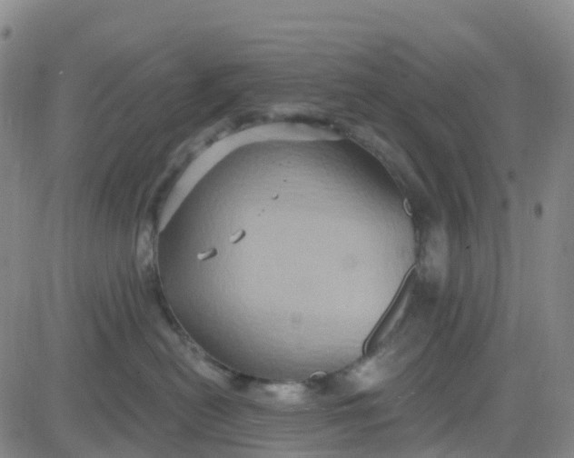 X0000084020478200703022101