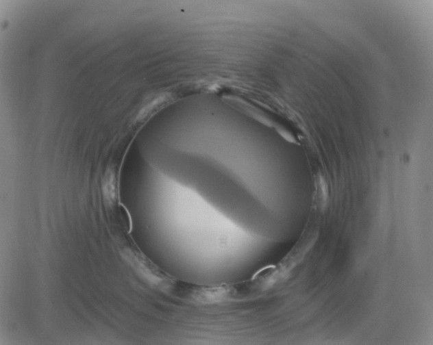 X0000084020479200703022101