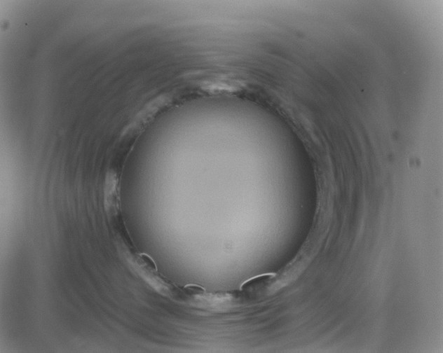 X0000084020480200703022101