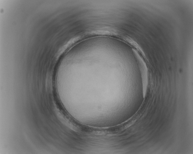 X0000084020482200703022101