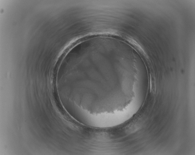 X0000084020483200703022101