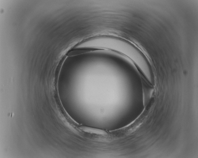 X0000084020485200703022101