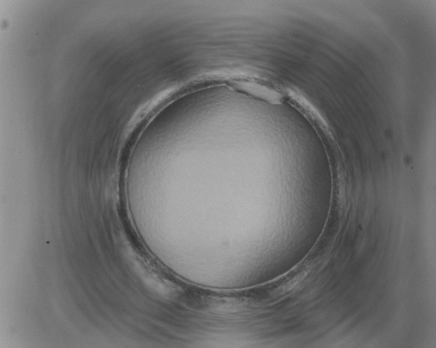 X0000084020486200703022101