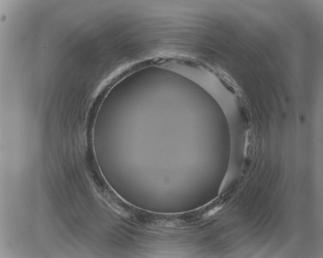 X0000084020488200703022101