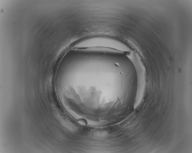 X0000084020491200703022101