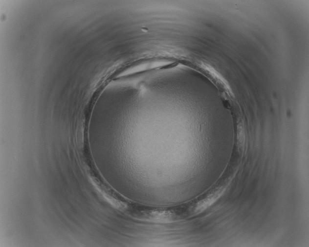 X0000084020493200703022100