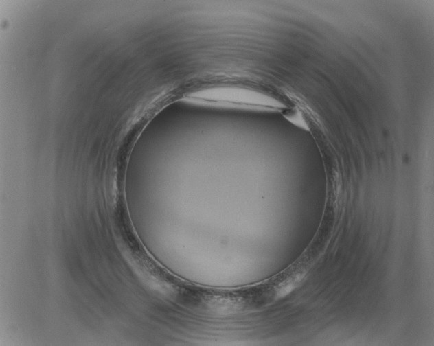 X0000084020494200703022100